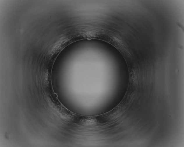 X0000101120548200807031806