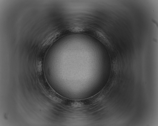 X0000101120549200807031806