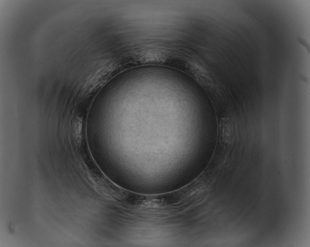 X0000101120550200807031806