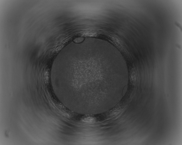 X0000101120551200807031806