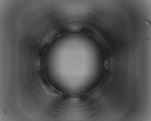 X0000101120552200807031806