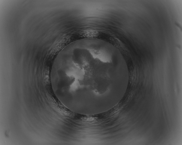 X0000101120553200807031806