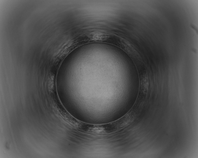 X0000101120554200807031806
