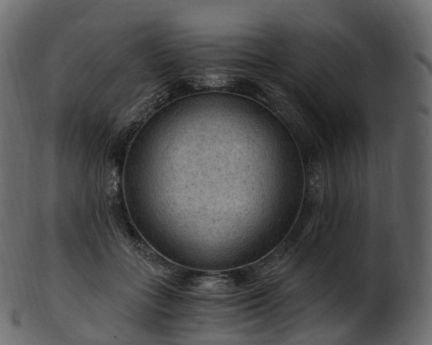 X0000101120555200807031806