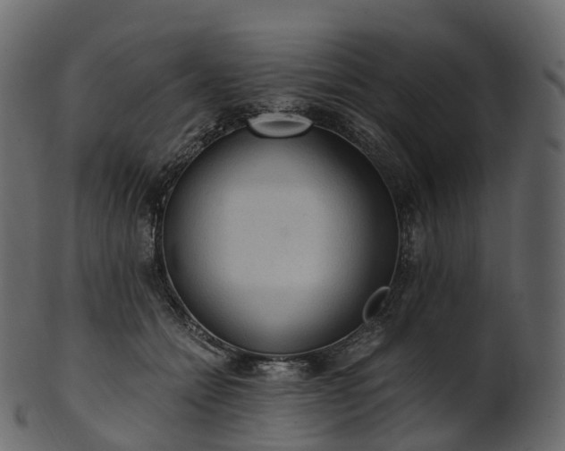 X0000101120558200807031806