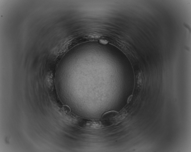 X0000101120559200807031806