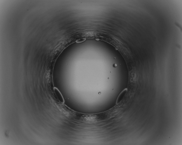 X0000101120560200807031806