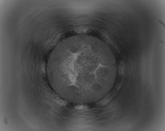 X0000101120561200807031806