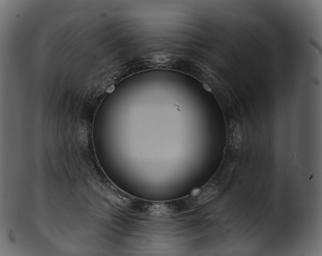 X0000101120562200807031806