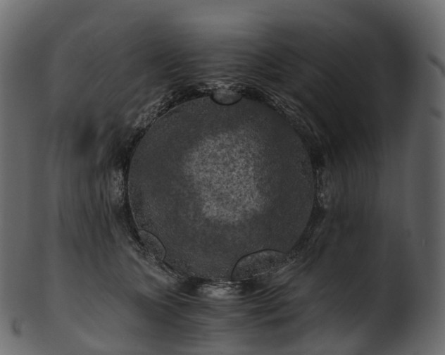 X0000101120563200807031806