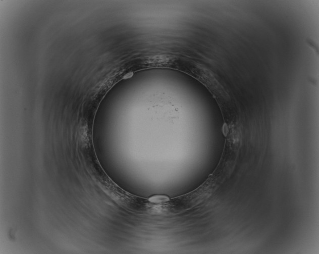 X0000101120564200807031806