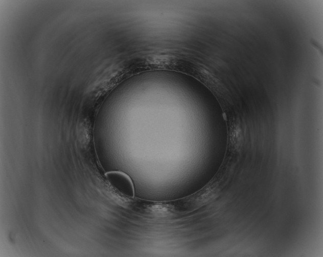 X0000101120566200807031806