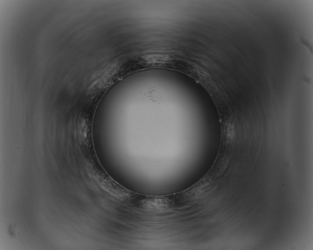 X0000101120567200807031806
