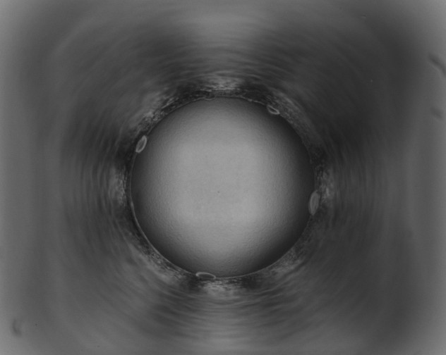 X0000101120568200807031806
