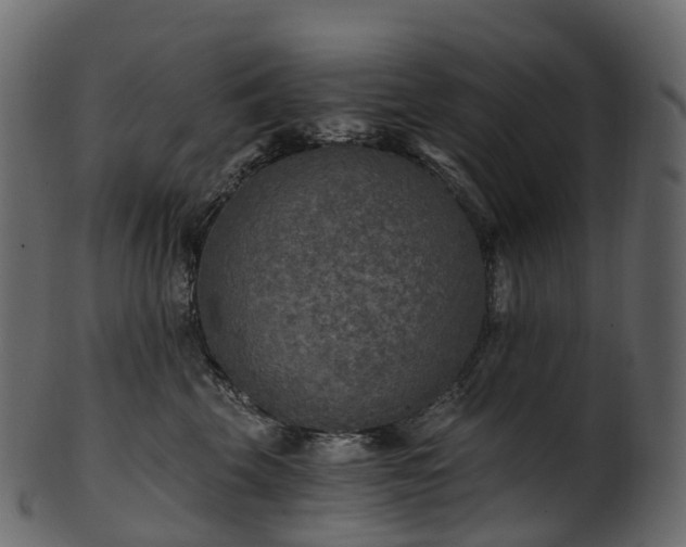 X0000101120569200807031806