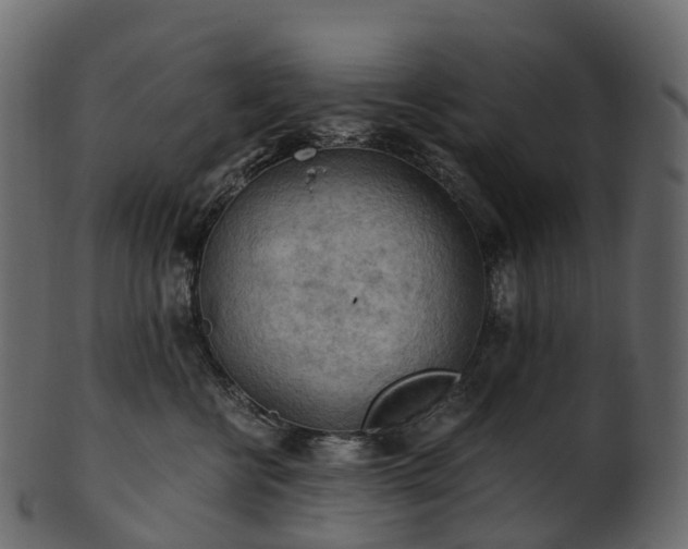 X0000101120570200807031806