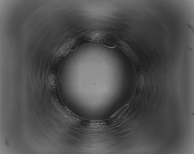 X0000101120571200807031806