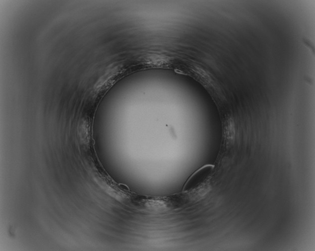 X0000101120572200807031806