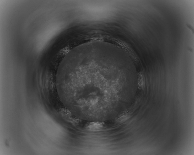 X0000101120573200807031806
