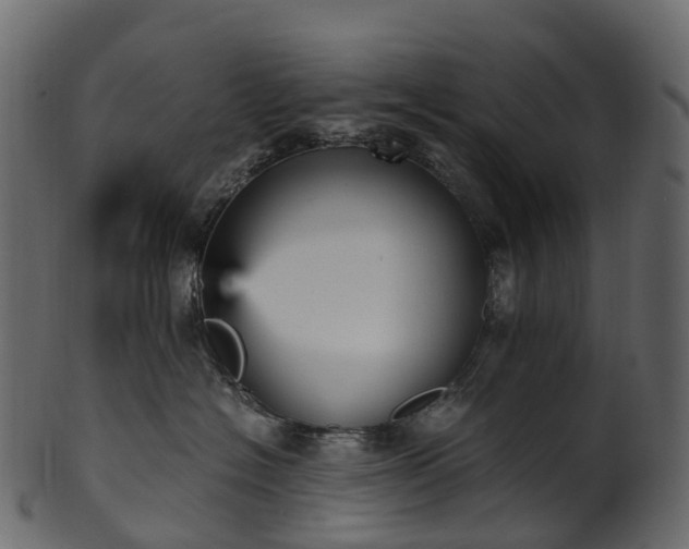 X0000101120574200807031806