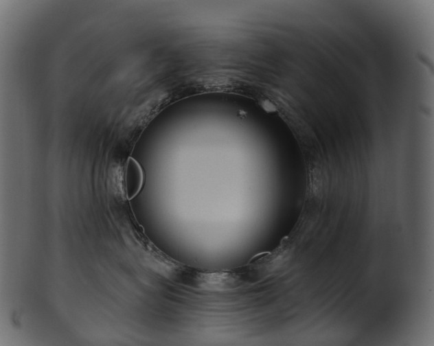 X0000101120575200807031806