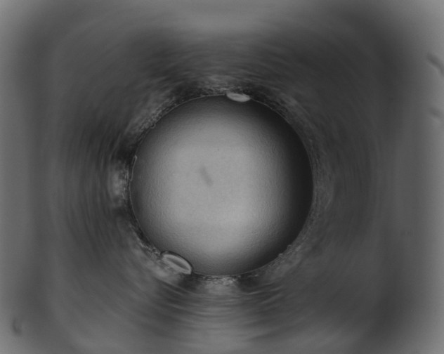 X0000101120576200807031806