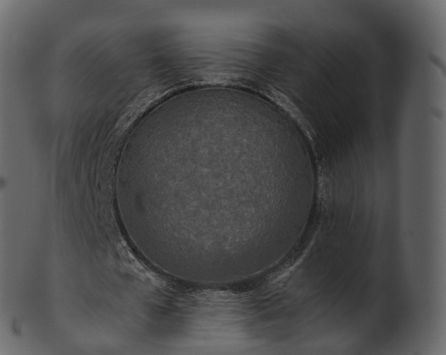 X0000101120577200807031805