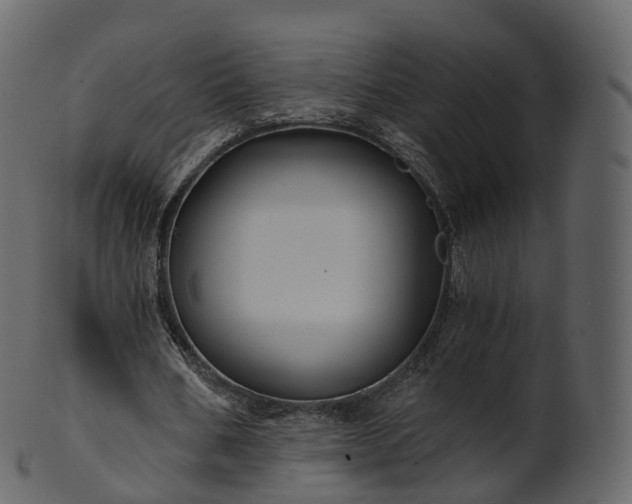 X0000101120578200807031805