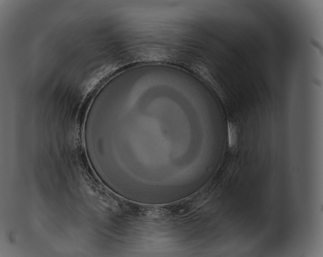 X0000101120579200807031805