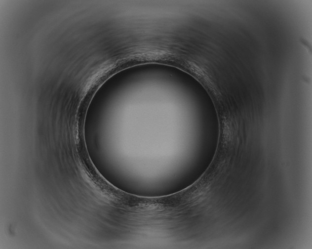 X0000101120582200807031805