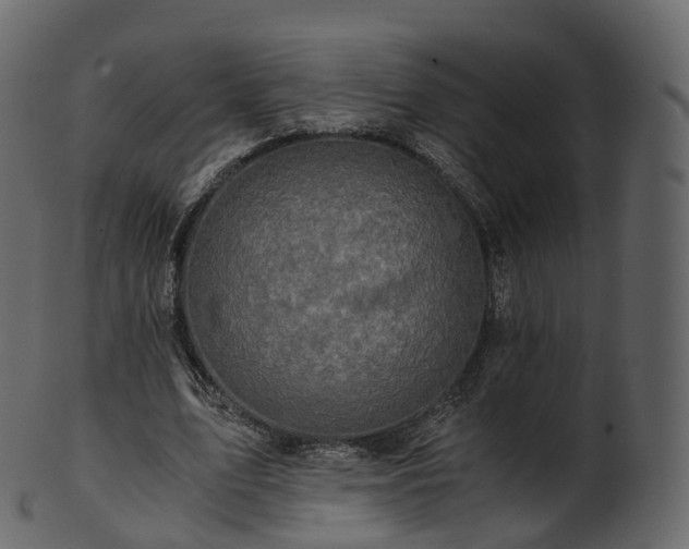 X0000101120583200807031805