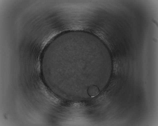 X0000101120584200807031805