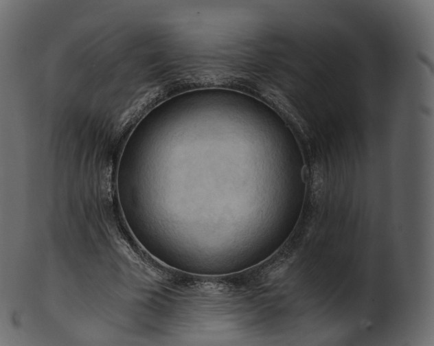 X0000101120585200807031805