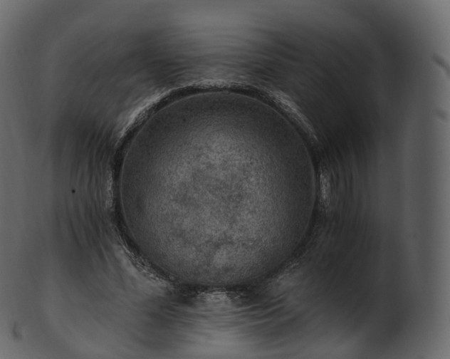 X0000101120588200807031805