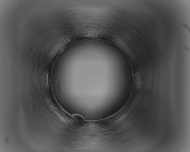 X0000101120589200807031805