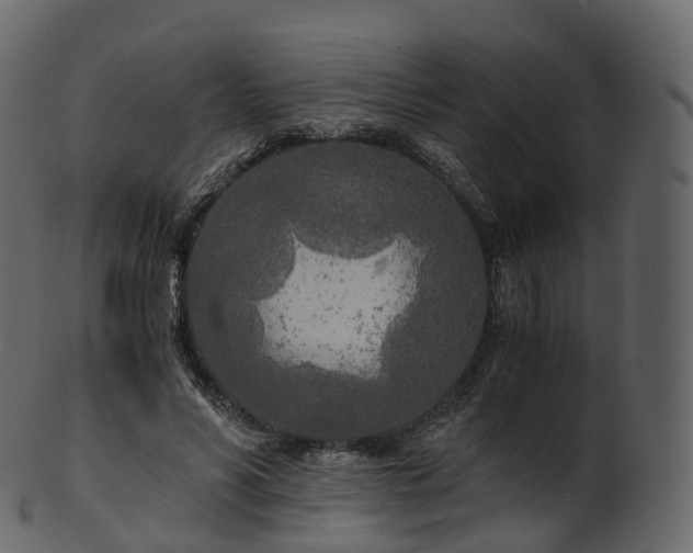 X0000101120590200807031805