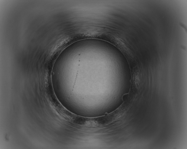 X0000101120591200807031805