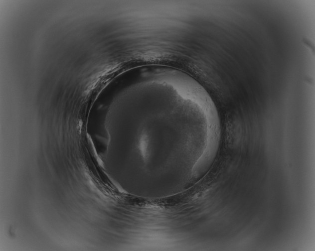 X0000101120592200807031805