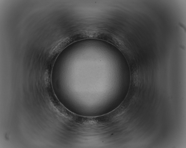 X0000101120594200807031805