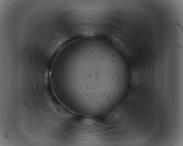 X0000101120596200807031805