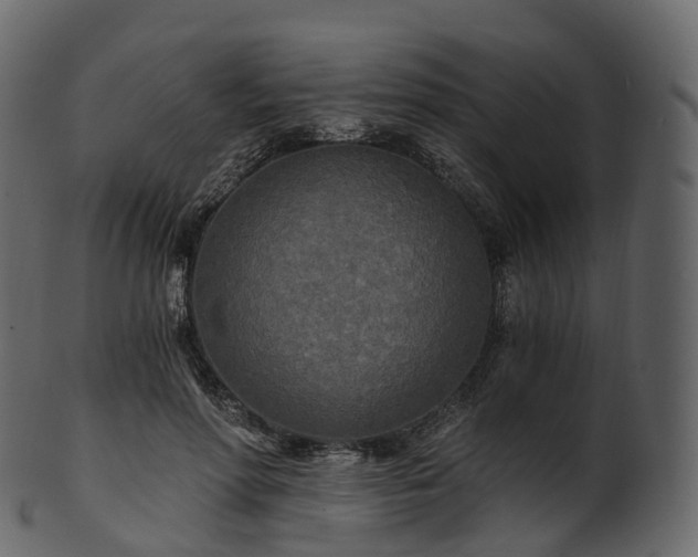 X0000101120598200807031805