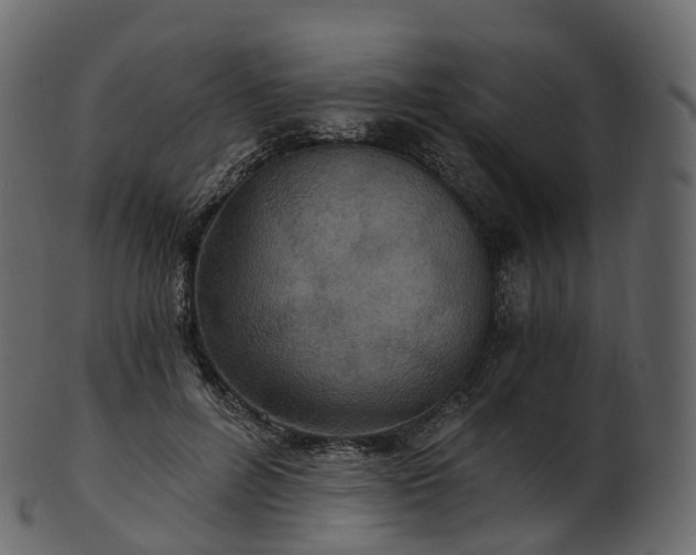 X0000101120600200807031805