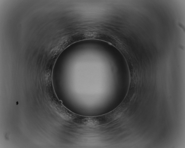 X0000101120601200807031805