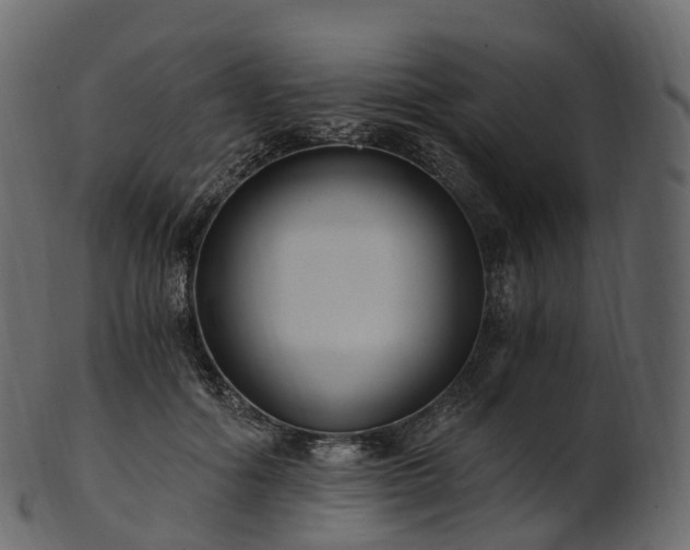 X0000101120602200807031805