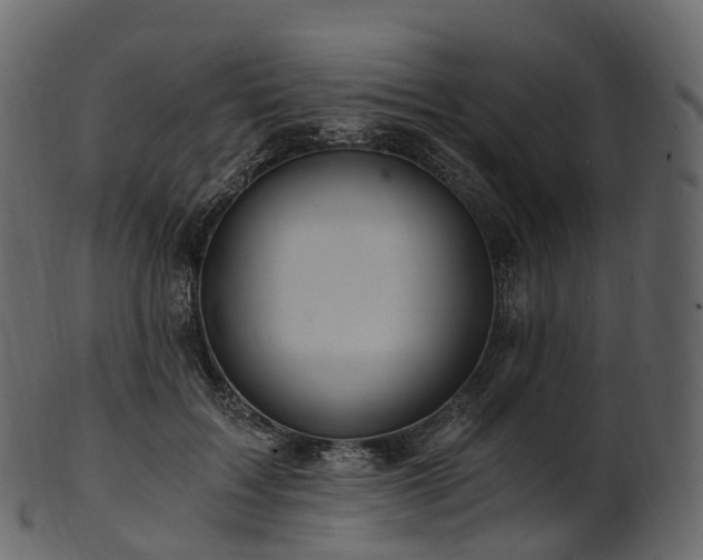 X0000101120603200807031805