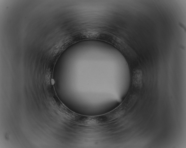 X0000101120604200807031805