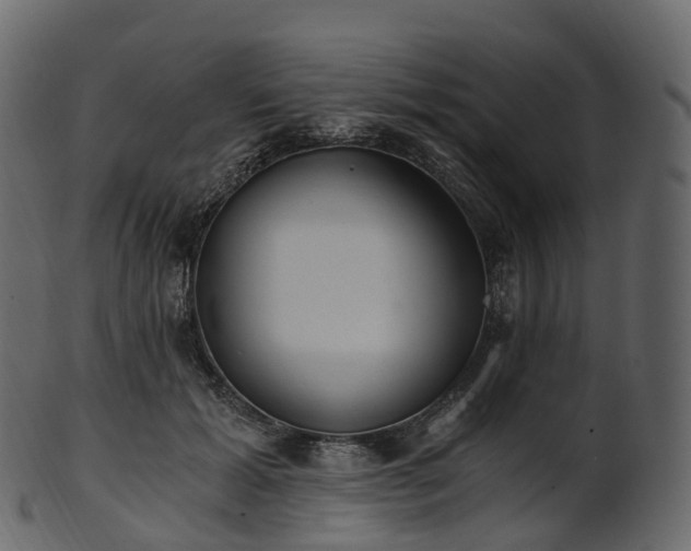 X0000101120605200807031805