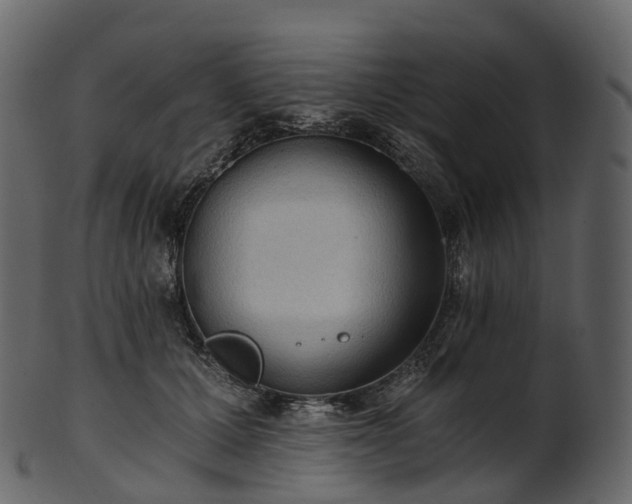 X0000101120607200807031805