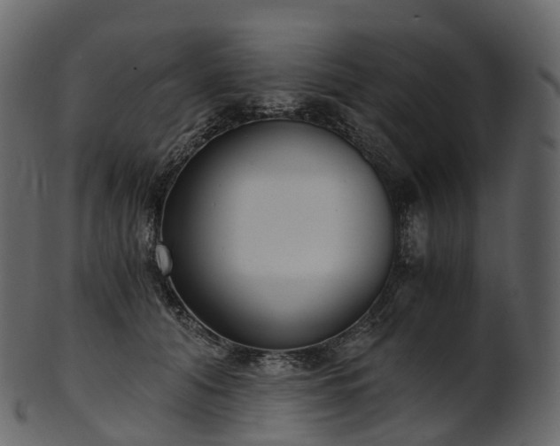 X0000101120608200807031805