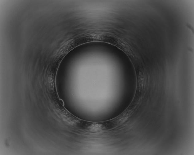X0000101120609200807031805